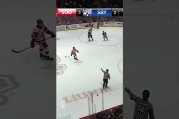 What do we want? DELLY CELLY's! When do we want them? ALWAYS!