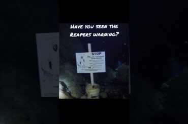 Cave diving is not for the faint of heart