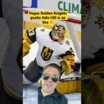 Adin Hill is going to get a big contracts in free agency after this playoff performance