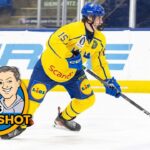 DK's Daily Shot of Penguins: High-end skill, please