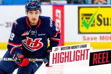 2019-20 HIGHLIGHT REEL | Noah Boyko