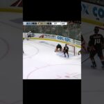 Morgan Rielly 3 on 3 OT Winner!!!  (2018)  #leafs