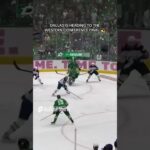 Thomas Harley Wires One For The Win - Dallas Stars
