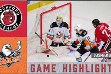 IceHogs Highlights: IceHogs vs Gulls 12/20/23