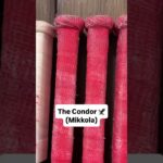 Brad Marchand has a WEIRD hockey stick knob 😳😵‍💫🏒