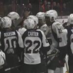 Gabriel Vilardi OT Goal vs Sting | Nov 18 2016