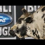 WRECK: Ben Jones takes a shot from New Holland PowerStar (PBR)