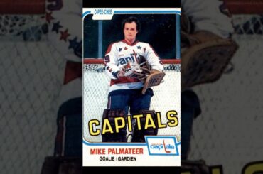 Mike Palmateer Washington Capitals 1981-82 O-Pee-Chee 351 NHL Hockey Card