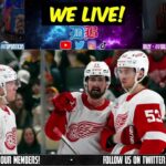 2024 Red Wings Offseason Discussion