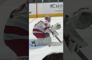 Up close and personal #PyotrKochetkov #GoalieGearSnob #TrueGoalie #CarolinaHurricanes