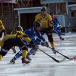 «Mölndal Bandy»-«Blåsut/Vänersborg BK»22 jan /Div 1 Västra F1 2021-2022/