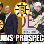 BRUINS PROSPECT POOL EXPLODES! Who Can Actually Make an The NHL IMPACT in 2026? 🚀