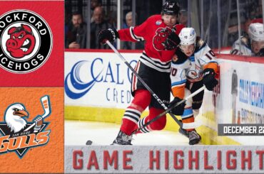 IceHogs Highlights: IceHogs vs Gulls 12/22/23