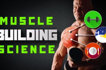 How To Build Muscle As Quickly As Possible