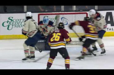 Game Highlights Feb. 15 Chicago Wolves vs. Milwaukee Admirals