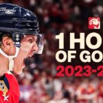 1 HOUR of the Panthers BEST goals from back-to-back Stanley Cup seasons!