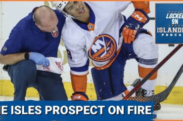 The New York Islanders Prospect Pool Is Considered Suspect, There's One Prospect Playing Very Well