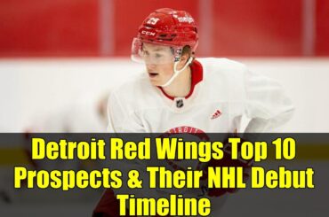 Detroit Red Wings Top 10 Prospects & Their NHL Debut Timeline | 2024 Season Preview