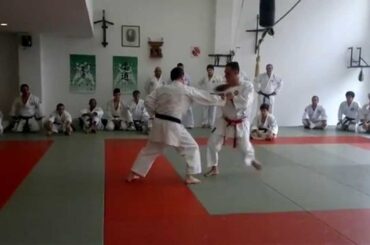 Sensei Gilson Nunes karate