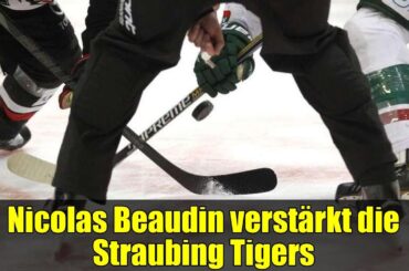 Nicolas Beaudin verstärkt die Straubing Tigers