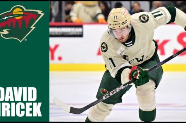 David Jiricek | 2024-25 Highlights