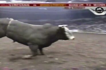Downdraft bucks Matt Roy - 05 PBR Uniondale