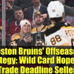 Boston Bruins' Offseason Strategy: Wild Card Hopefuls or Trade Deadline Sellers?