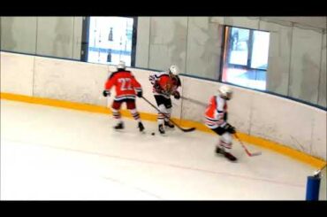 Tereza Pištěková (HC Lvi 2009 - Havlíčkův Brod 0:8, ročník 2006) 2020-21