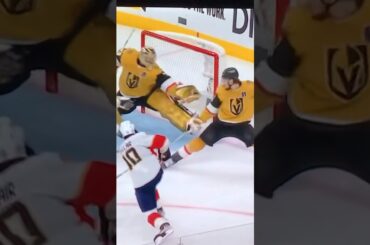 #33 Adin Hill can taste the Stanley Cup with this incredible glove save.