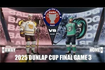 NAHA 2025 Dunlap Cup Final Game 3 - Baltimore Bulldogs @ San Diego Riptide