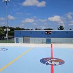 Kings vs Ducks 8/2 at 9