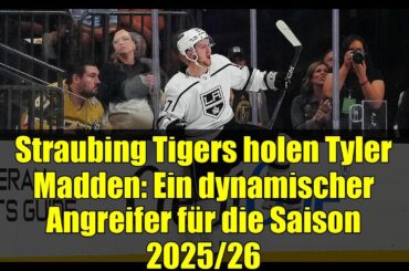 Straubing Tigers holen Tyler Madden: Ein dynamischer Angreifer für die Saison 2025/26