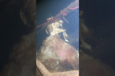 This was a creepy find whilst scuba diving!