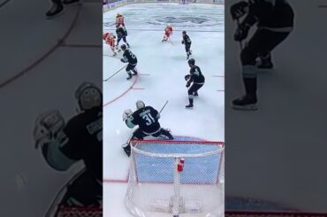 Flames C #28 Elias Lindholm 🥅(4)🏒Wrist-Shot Goal.