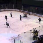 Colton Parayko's No-Look Backhand Goal vs. UAA - 3/15/14