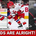 Top 5 Carolina Hurricanes Prospects Going into 2025-26