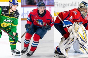 St. Louis Blues Prospects Talk with Bluenote Prospects Writer Vanessa Graf