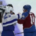 Michael Eyssimont Drops The Gloves With Chris Wagner
