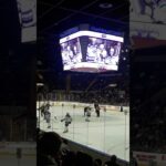 Riley stillman's goal beating Legace