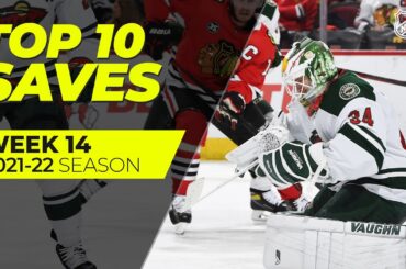 Top 10 Saves from Week 14 of the 2021-22 NHL Season