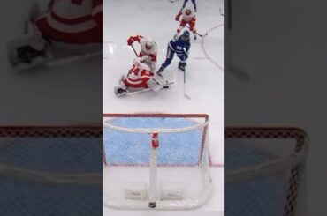 William Nylander scores a RIDICULOUS Goal