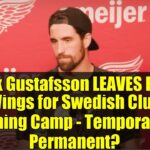 Erik Gustafsson LEAVES Red Wings for Swedish Club Training Camp - Temporary or Permanent?