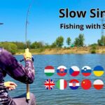 FEEDERMANIA - Slow sinking szerelék bemutató a Koi 1-es tavon. Slow sinking rig demonstration.