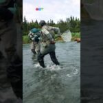 Seattle Kraken mascot chased by charging bear in Alaska