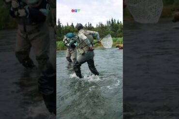 Seattle Kraken mascot chased by charging bear in Alaska