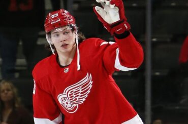 Moritz Seider Rookie Season Highlights!