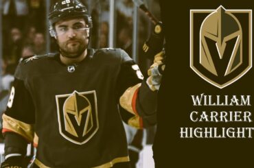 William Carrier Highlights