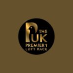 Jeremy Davies is live