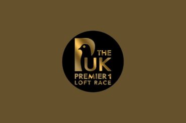 Jeremy Davies is live