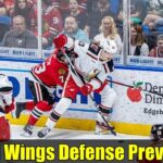 Red Wings Defense Preview | Wallinder, Pellikka & Lagesson Ready for Camp?